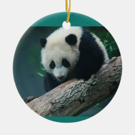 Bao Bao Giant Panda Cub-versiering Keramisch Ornament (Voorkant)