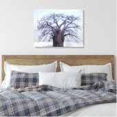 Baobab (Adansonia Digitata), Luanda Canvas Afdruk (Insitu (Slaapkamer))