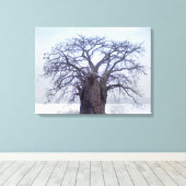 Baobab (Adansonia Digitata), Luanda Canvas Afdruk (Insitu (Houten vloer))