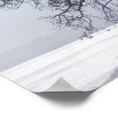 Baobab (Adansonia Digitata), Luanda Poster (Hoek)