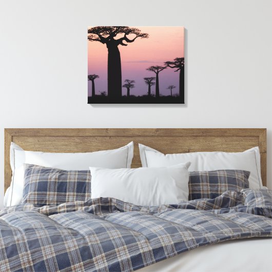 Baobab Alley', Madagascar, Morondava, Afrika, Canvas Afdruk (Insitu (Slaapkamer))