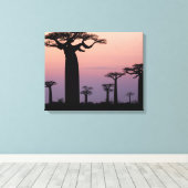 Baobab Alley', Madagascar, Morondava, Afrika, Canvas Afdruk (Insitu (Houten vloer))