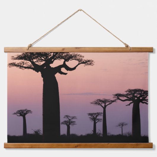 Baobab Alley', Madagascar, Morondava, Afrika, Hangend Wandkleed (Voorkant)