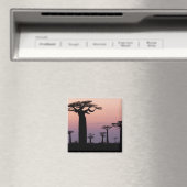 Baobab Alley', Madagascar, Morondava, Afrika, Magneet (Insitu (Vaatwasser))