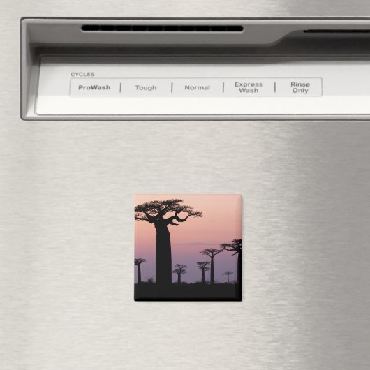 Baobab Alley', Madagascar, Morondava, Afrika, Magneet (Insitu (Vaatwasser))