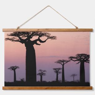 Baobab Alley', Madagaskar, Morondava, Afrika, Hangend Wandkleed