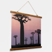Baobab Alley', Madagaskar, Morondava, Afrika, Hangend Wandkleed (Gebogen)