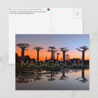 Baobab Alley, Madagaskar Reisansichtkaart Briefkaart