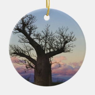 Baobab-bomen, Berenty, Toliara, Madagaskar Keramisch Ornament