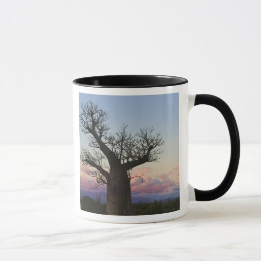 Baobab-bomen, Berenty, Toliara, Madagaskar Mok (Rechts)
