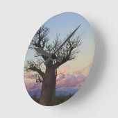 Baobab-bomen, Berenty, Toliara, Madagaskar Ronde Klok (Hoek)