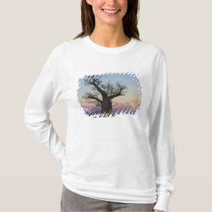 Baobab bomen, Berenty, Toliara, Madagaskar T-shirt