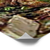 Baobab-bomen en een groot Tamarind Tree_GC-Poster Poster (Hoek)