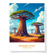 Baobab-bomen van Madagaskar Landschapskunst