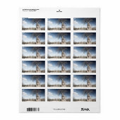 Baobab-boom in het nationaal park Mana Pools, Zimb Etiket (Full Sheet)