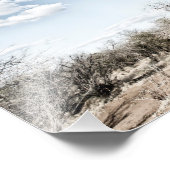 Baobab-boom in het nationaal park Mana Pools, Zimb Foto Afdruk (Hoek)