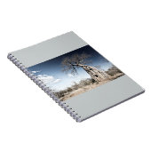 Baobab-boom in het nationaal park Mana Pools, Zimb Notitieboek (Rechterzijde)