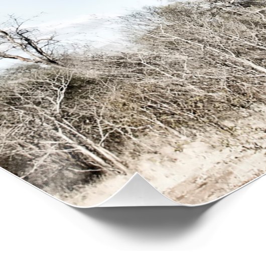 Baobab-boom in het nationaal park Mana Pools, Zimb Poster (Hoek)