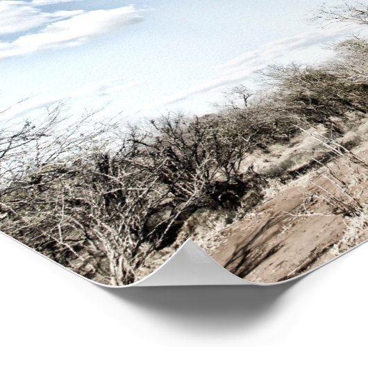 Baobab-boom in het nationaal park Mana Pools, Zimb Poster (Hoek)