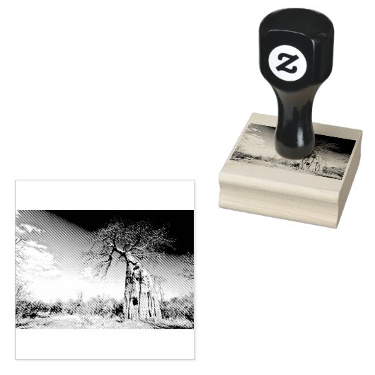 Baobab-boom in het nationaal park Mana Pools, Zimb Rubberstempel (Gestempeld)