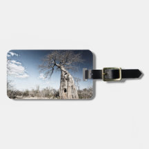 Baobab-boom in het nationale park Mana Pools, Zimb