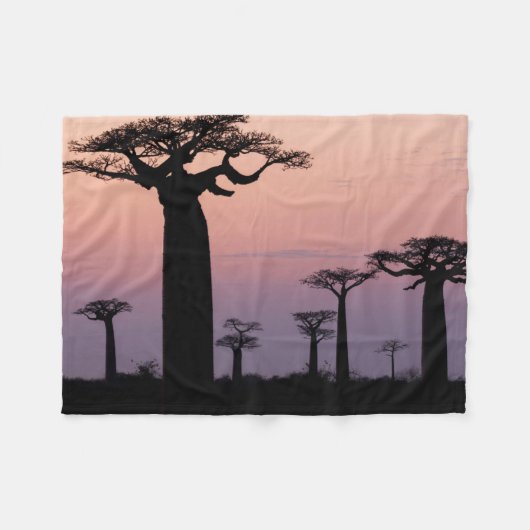 Baobab Laan', Madagaskar, Morondava, Afrika, Fleece Deken (Voorkant (Horizontaal))