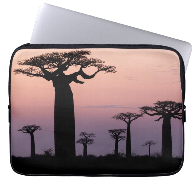 Baobab Laan', Madagaskar, Morondava, Afrika, Laptop Sleeve (Voorkant)