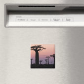 Baobab Laan', Madagaskar, Morondava, Afrika, Magneet (Insitu (Vaatwasser))