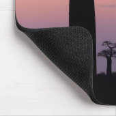Baobab Laan', Madagaskar, Morondava, Afrika, Muismat (Hoek)