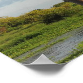 Baobab Madagaskar van Grandidier Poster (Hoek)