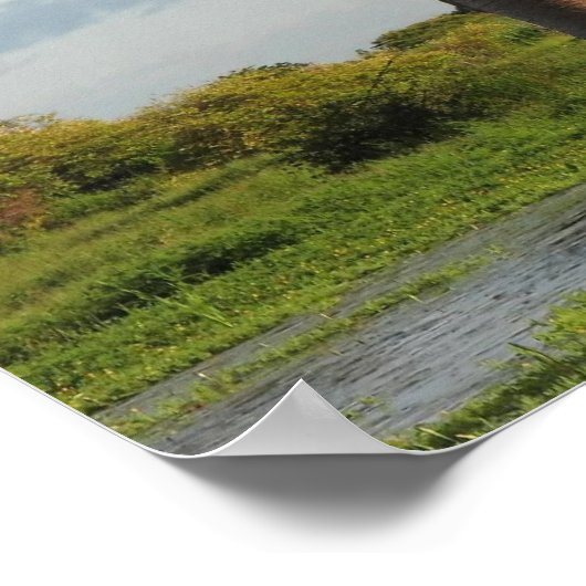 Baobab Madagaskar van Grandidier Poster (Hoek)