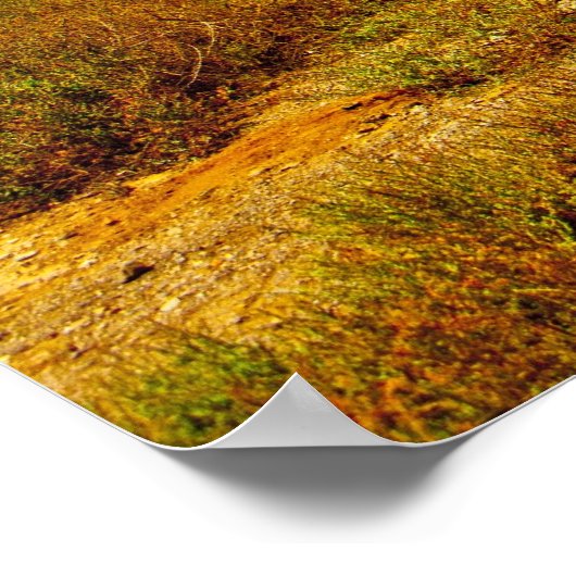 Baobab Poster (Hoek)