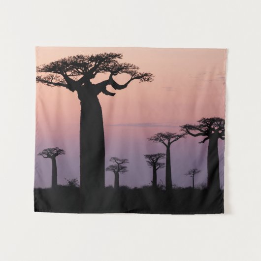 Baobab-steeg', Madagaskar, Morondava, Afrika, Wandkleed (Voorkant (horizontaal))