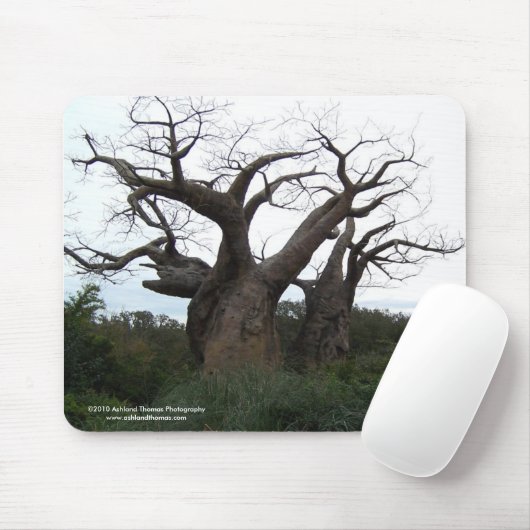 Baobab Tree Mousepad Muismat (Met muis)