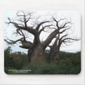 Baobab Tree Mousepad Muismat (Voorkant)