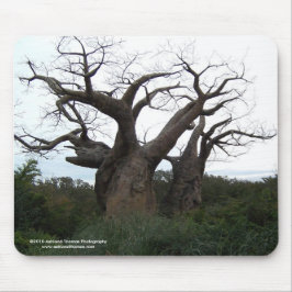 Baobab Tree Mousepad Muismat