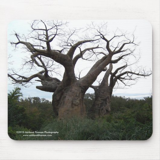 Baobab Tree Mousepad Muismat (Voorkant)