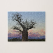Baobab trees, Berenty, Toliara, Madagascar Legpuzzel (Horizontaal)