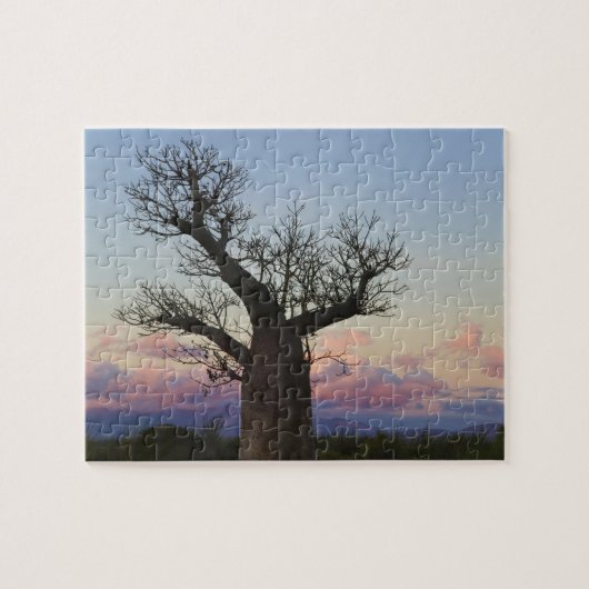 Baobab trees, Berenty, Toliara, Madagascar Legpuzzel (Horizontaal)