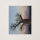 Baobab trees, Berenty, Toliara, Madagascar Legpuzzel (Verticaal)