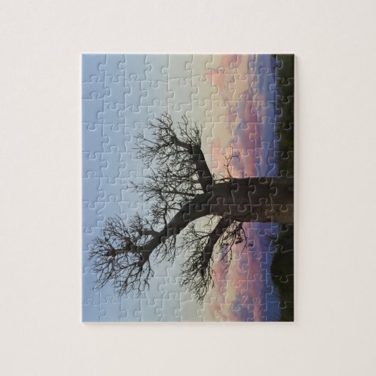 Baobab trees, Berenty, Toliara, Madagascar Legpuzzel (Verticaal)