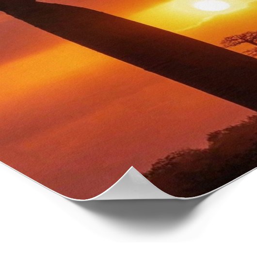 baobabboom, poster (Hoek)