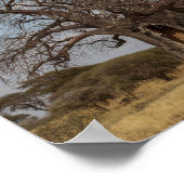 Baobabboom uit Tanzania. Poster (Hoek)