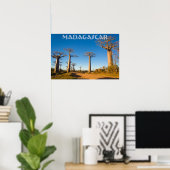 Baobabs de Madagascar Poster (Thuiskantoor)