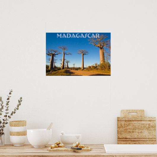 Baobabs de Madagascar Poster (Keuken)