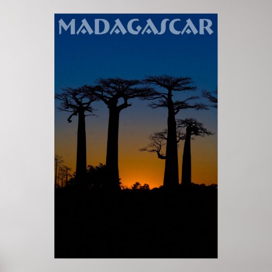 Baobabs de Madagascar Poster (Voorkant)