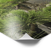 Bao's familie tuin, Huangshan, China. 2 Foto Afdruk (Hoek)