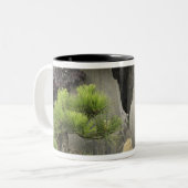 Bao's familie tuin, Huangshan, China. 2 Tweekleurige Koffiemok (Voorkant links)