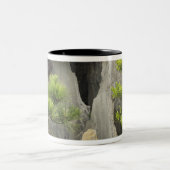 Bao's familie tuin, Huangshan, China. 2 Tweekleurige Koffiemok (Center)