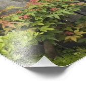 Bao's familie tuin, Huangshan, China. Foto Afdruk (Hoek)